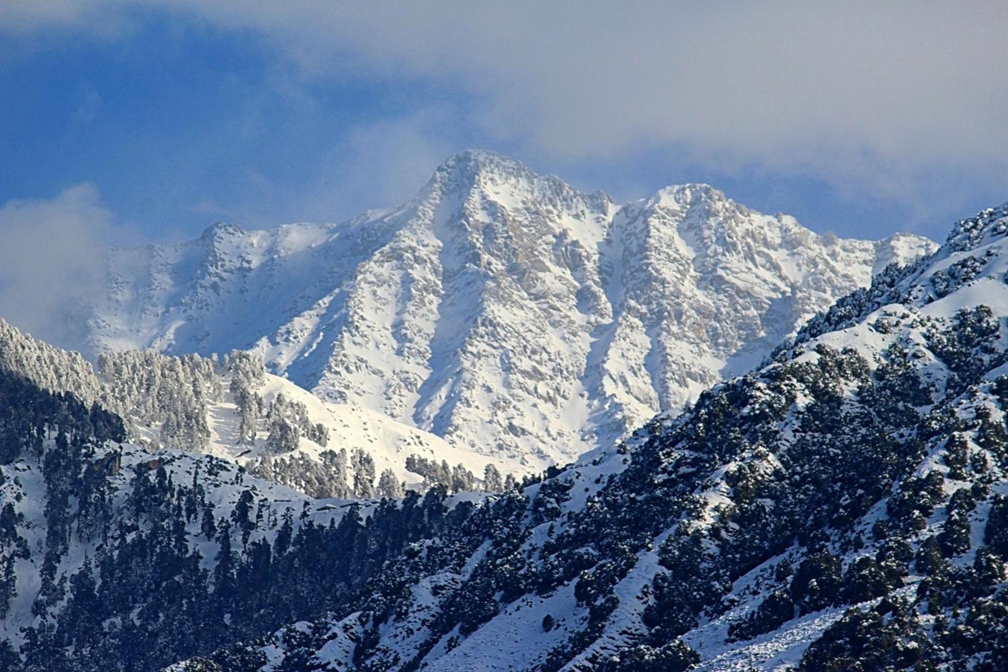 Hotel Bliss Valley Dharamshala - Beautiful View Of Mountains From Rooms Exterior foto