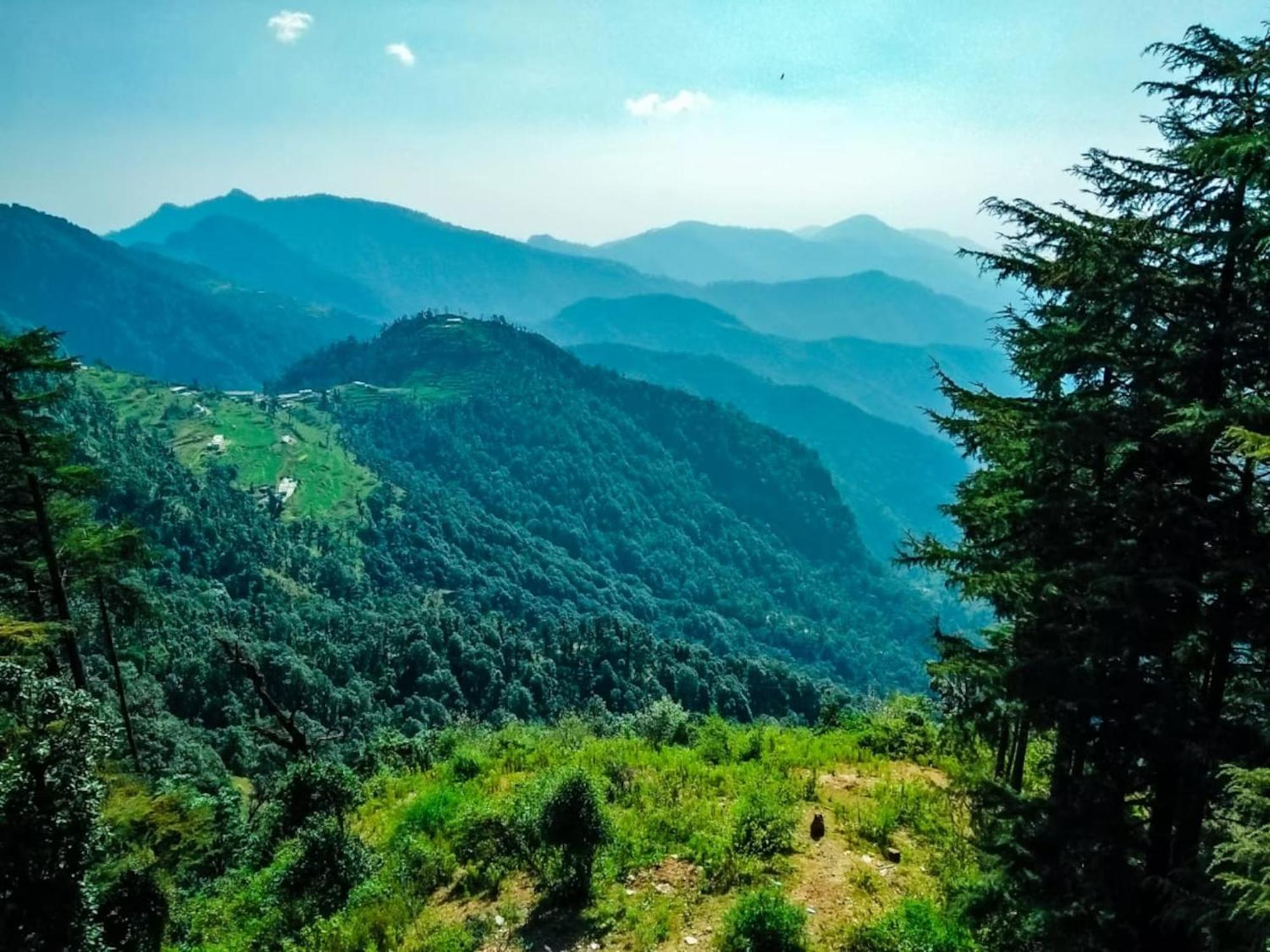 Hotel Bliss Valley Dharamshala - Beautiful View Of Mountains From Rooms Exterior foto